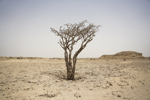 سباير