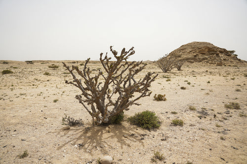ميراج