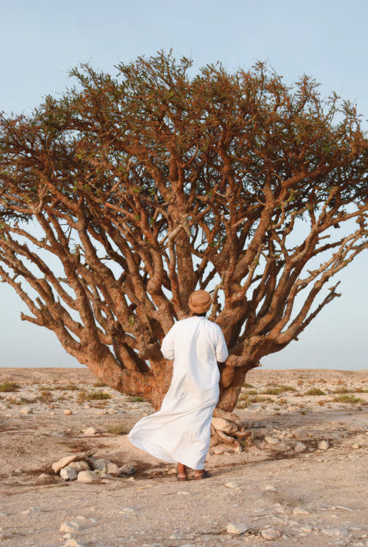 Press release – Wadi Dawkah appoints a Scientific Advisory Council to Research